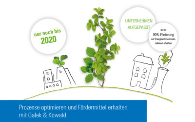 Prozesse optimieren und Fördermittel erhalten mit der Galek & Kowald GmbH