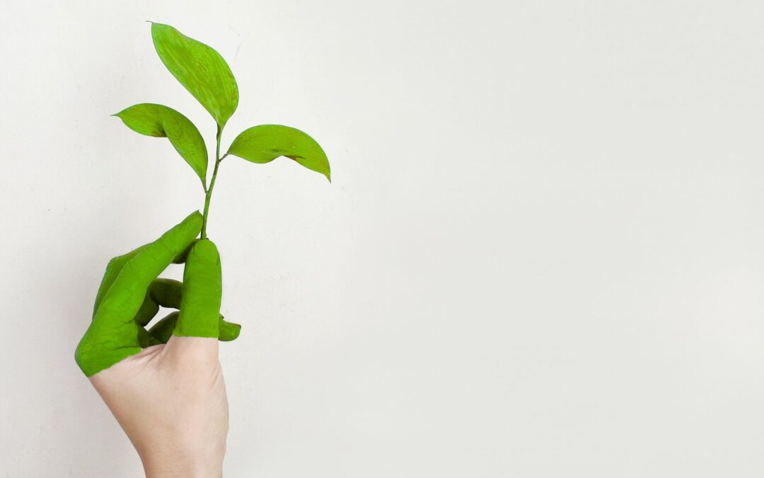 Einladung zur Fachtagung Energieeffizienz 2025 in Erfurt!