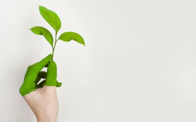 Einladung zur Fachtagung Energieeffizienz 2025 in Erfurt!