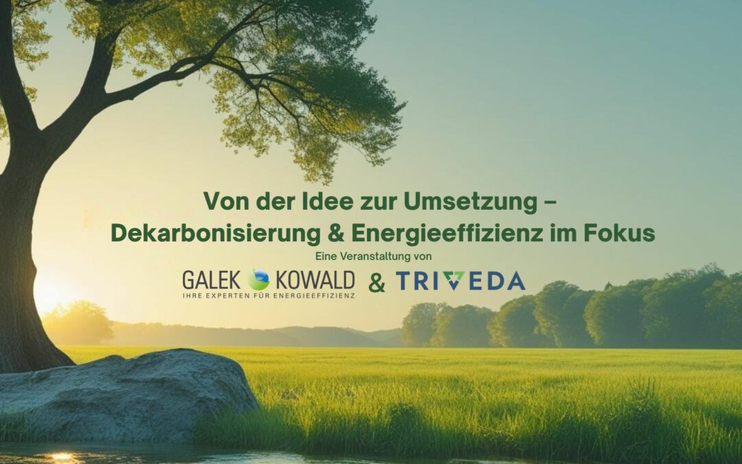 Von der Idee zur Umsetzung: Dekarbonisierung & Energieeffizienz im Fokus!